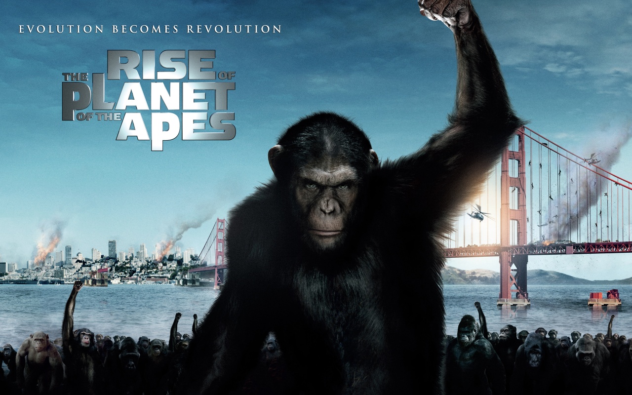 rise of the planet of the apes gorilla